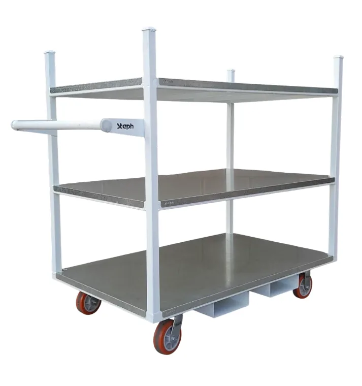 Rack Carro porta matrices A. Cozzuol
